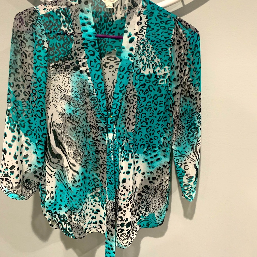 Sheer blouse